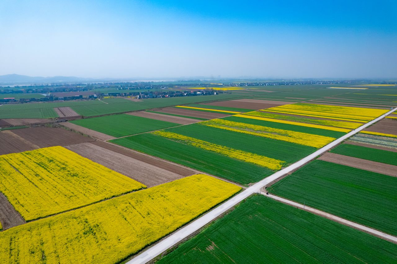 Stunning aerial capture of colorful fields and rural landscape in Jiujiang, China.