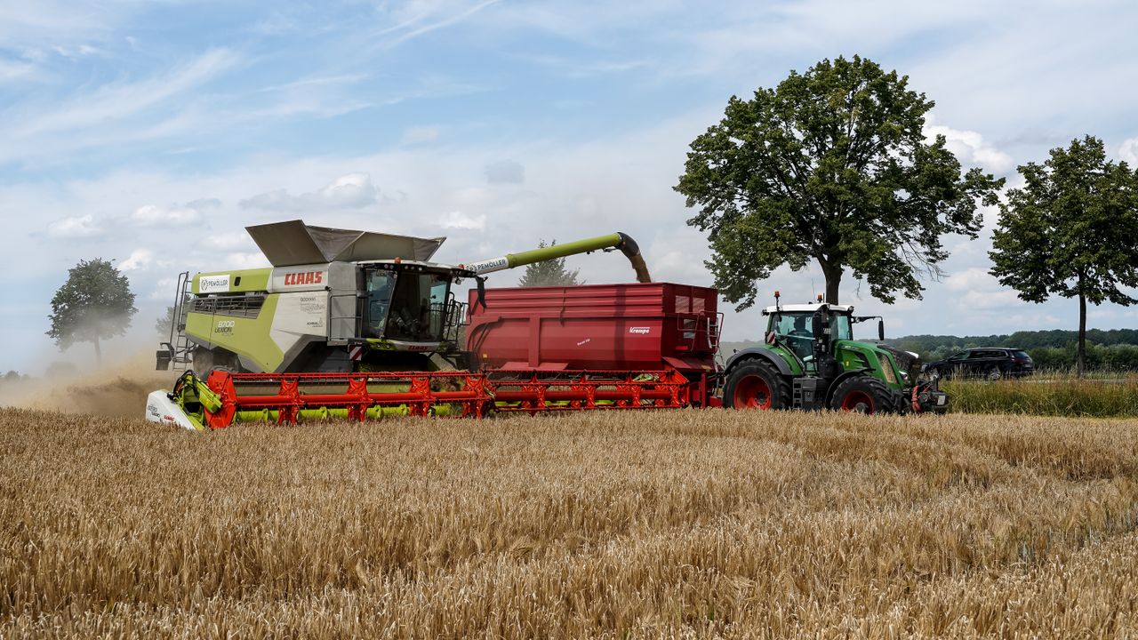 Combine harvester and tractor working in a wheat field in Brunstorf, Germany during summer.
